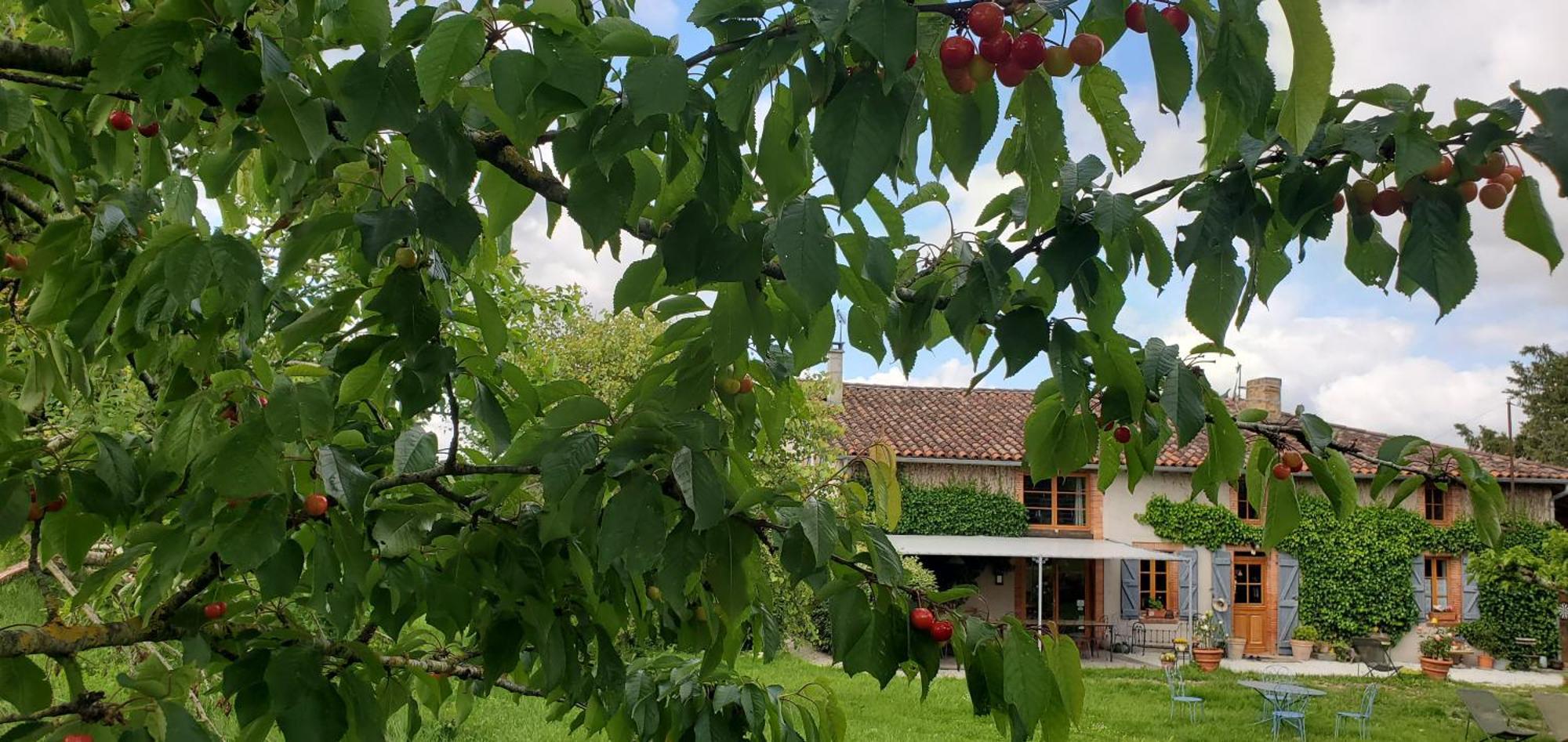 B&B La Ferme De Loubens Eksteriør billede
